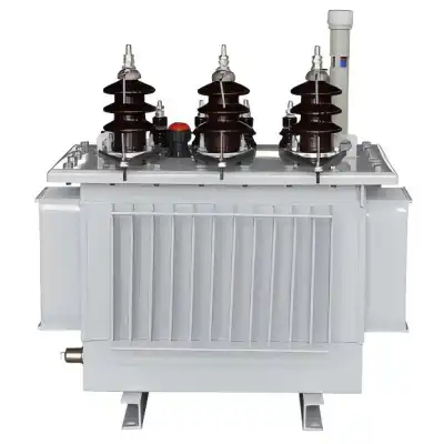 The Performance and the Characteristics of S11 Type Fully Sealed Oil-Immersed Distribution Transformer